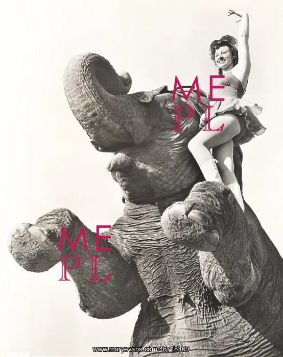 : Circus performer posing on elephant : Circus performer posing on elephant