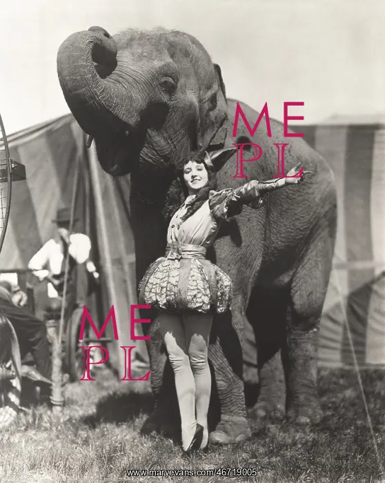  : Circus performer posing with elephant
