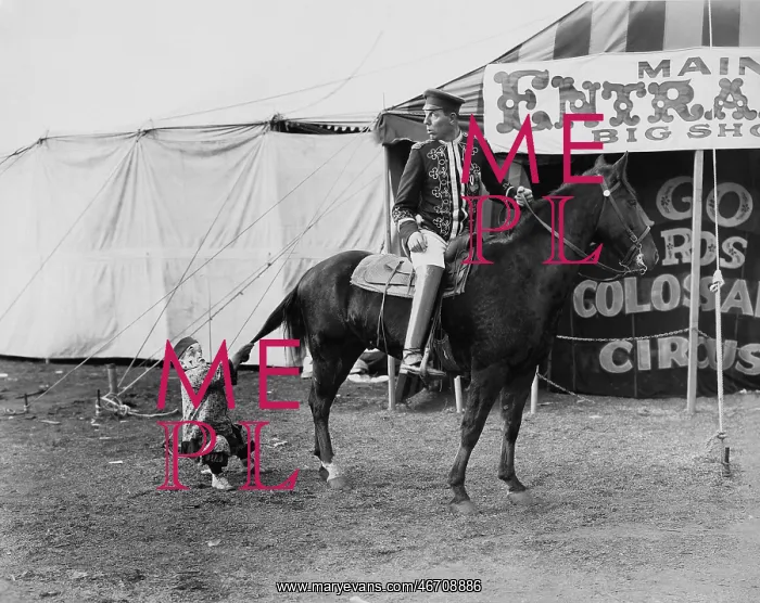 : Circus performer pulling horses tail : Circus performer pulling horses tail