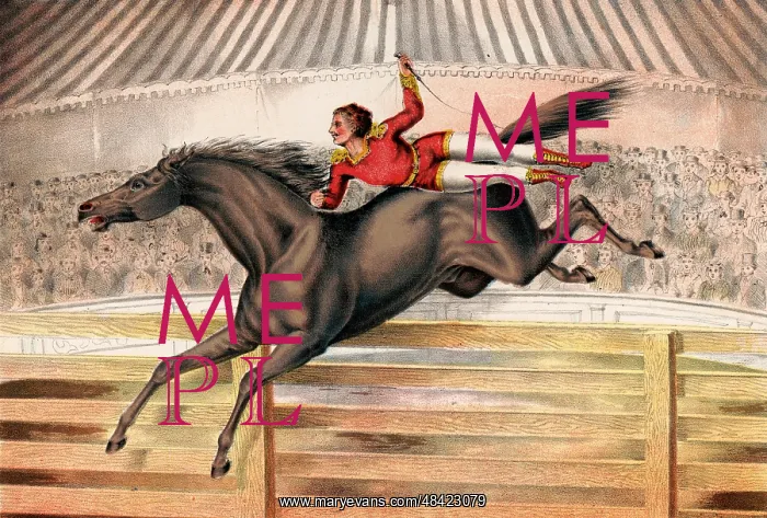 : Circus performer riding a vaulting horse bareback : Circus performer riding a vaulting horse bareback
