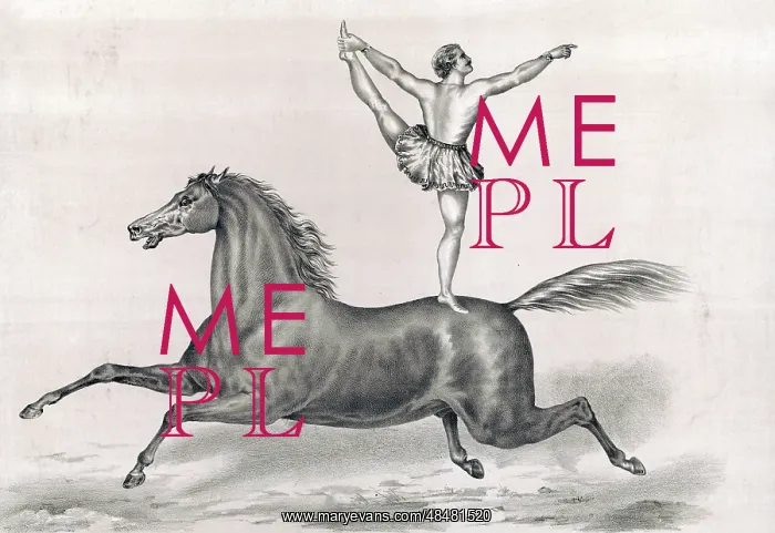 : Circus performer standing and riding on a bareback horse : Circus performer standing and riding on a bareback horse