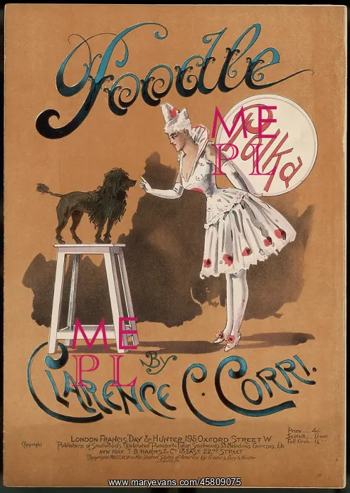 : CIRCUS POODLE : CIRCUS POODLE