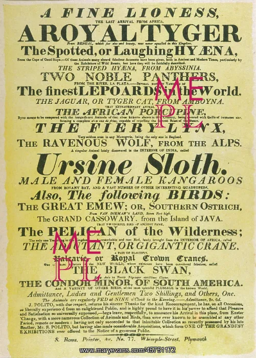 : CIRCUS POSTER / POLITO'S : CIRCUS POSTER / POLITO'S