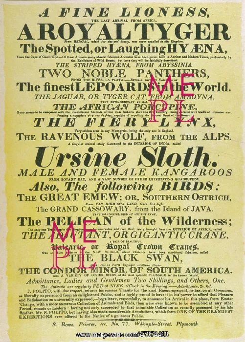 : CIRCUS POSTER / POLITO'S : CIRCUS POSTER / POLITO'S