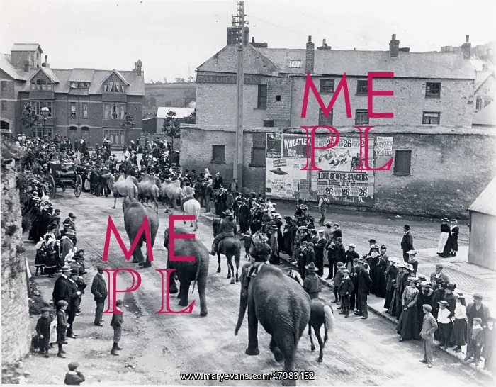 : Circus procession, Haverfordwest, Wales : Circus procession, Haverfordwest, Wales