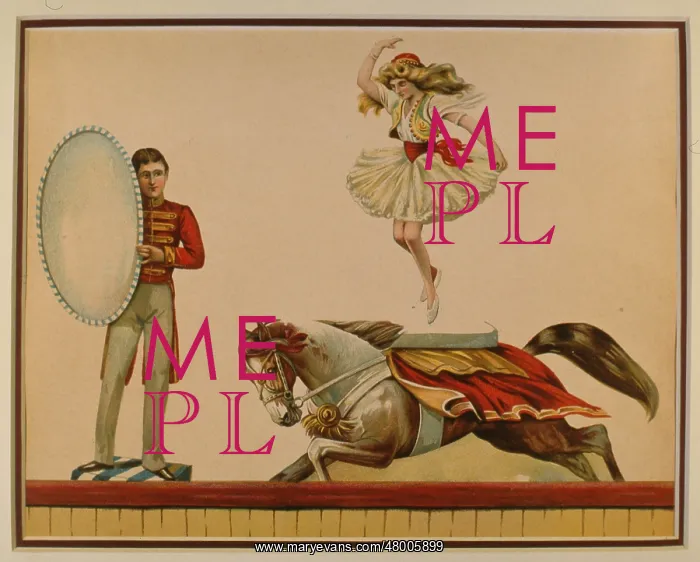 : Circus scene : Circus scene