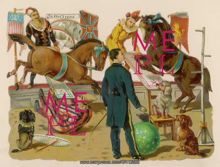 : Circus Scrap : Circus Scrap