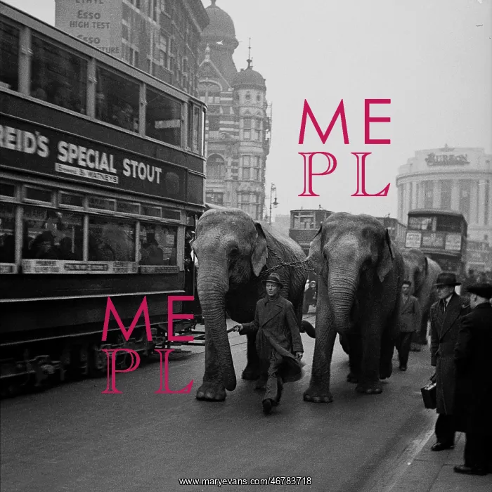 : Circus in town, elephants in Central London : Circus in town, elephants in Central London