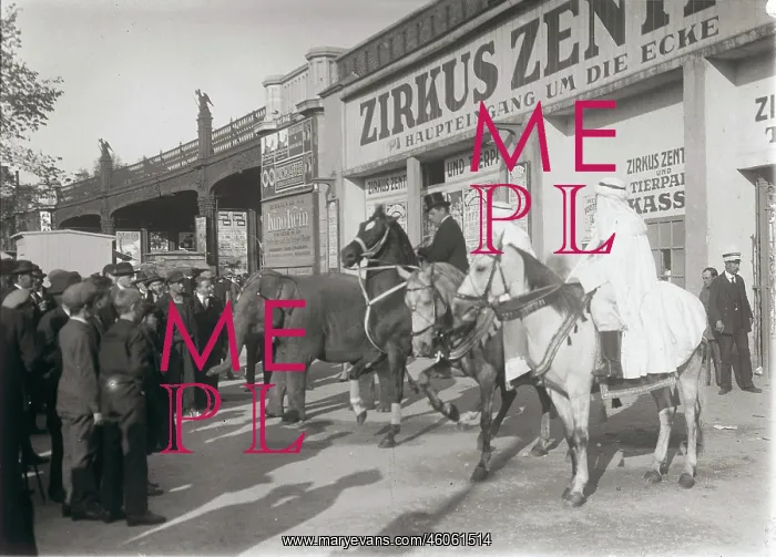 : Circus Zentz : Circus Zentz