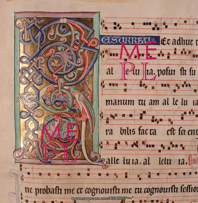 : Cistercian gradual : Cistercian gradual