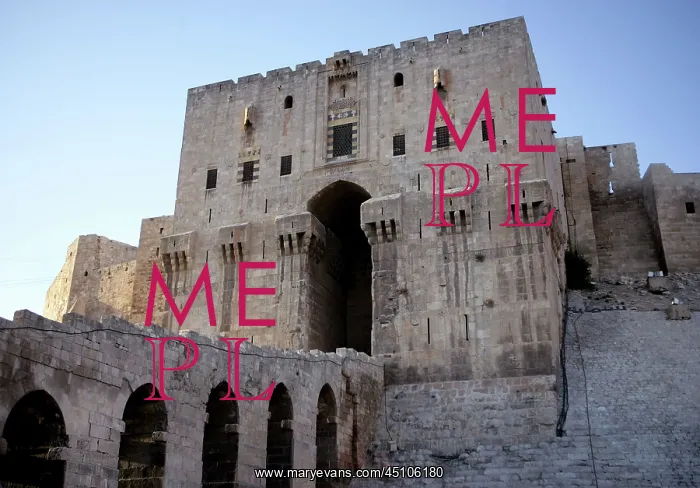 : Citadel of Aleppo, Syria : Citadel of Aleppo, Syria