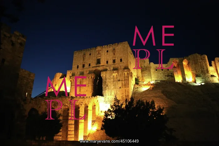 : Citadel of Aleppo, Syria : Citadel of Aleppo, Syria