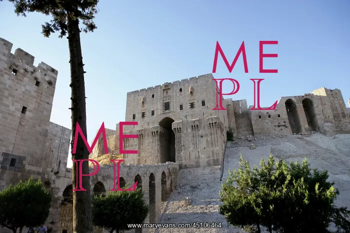: Citadel of Aleppo, Syria : Citadel of Aleppo, Syria