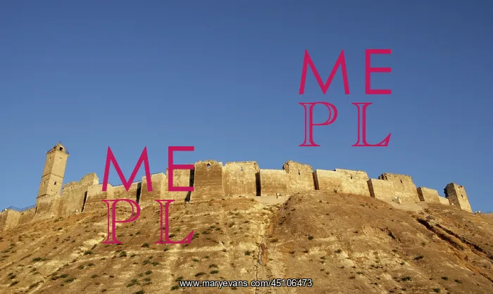 : Citadel of Aleppo, Syria : Citadel of Aleppo, Syria
