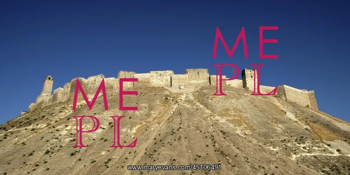 : Citadel of Aleppo, Syria : Citadel of Aleppo, Syria