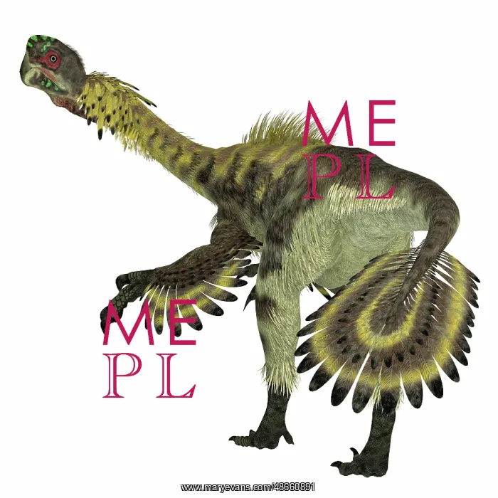 : Citipati dinosaur, rear view : Citipati dinosaur, rear view