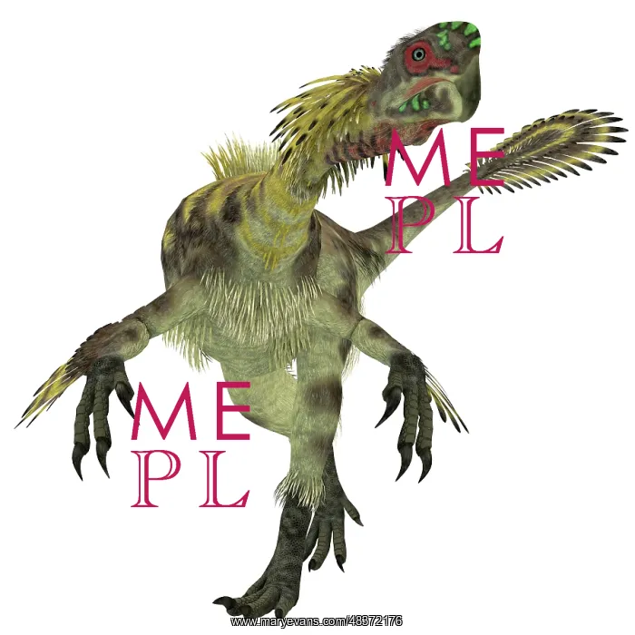 : Citipati dinosaur, white background : Citipati dinosaur, white background