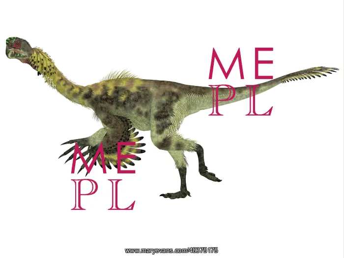 : Citipati dinosaur, white background : Citipati dinosaur, white background
