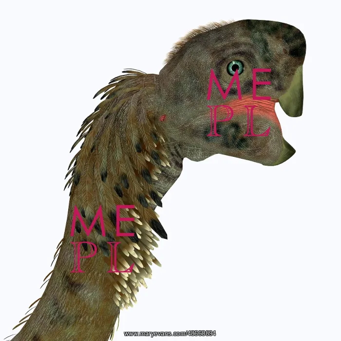 : Citipati female dinosaur head : Citipati female dinosaur head