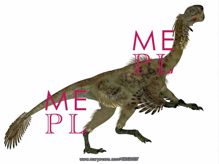 : Citipati female dinosaur, side profile : Citipati female dinosaur, side profile