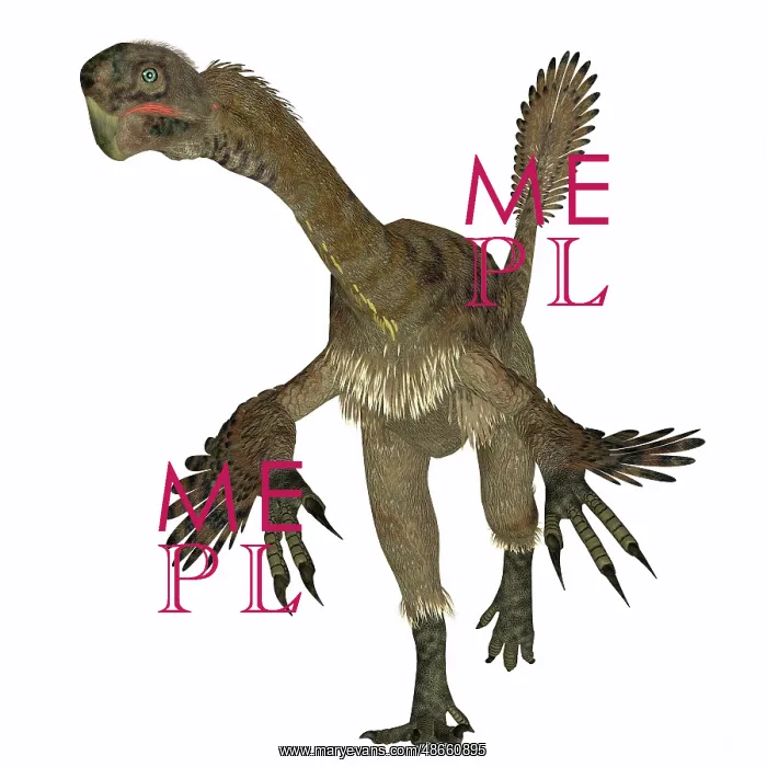 : Citipati female dinosaur, front view : Citipati female dinosaur, front view