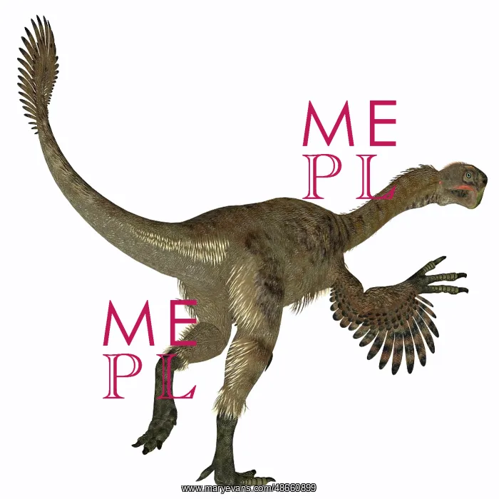 : Citipati female dinosaur, white background : Citipati female dinosaur, white background