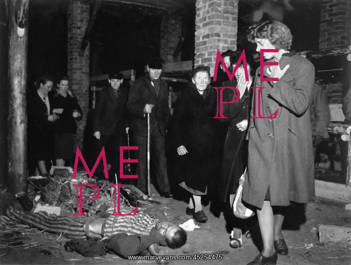 : Citizens of Ludwigslust were forced by U.S. Army : Citizens of Ludwigslust were forced by U.S. Army