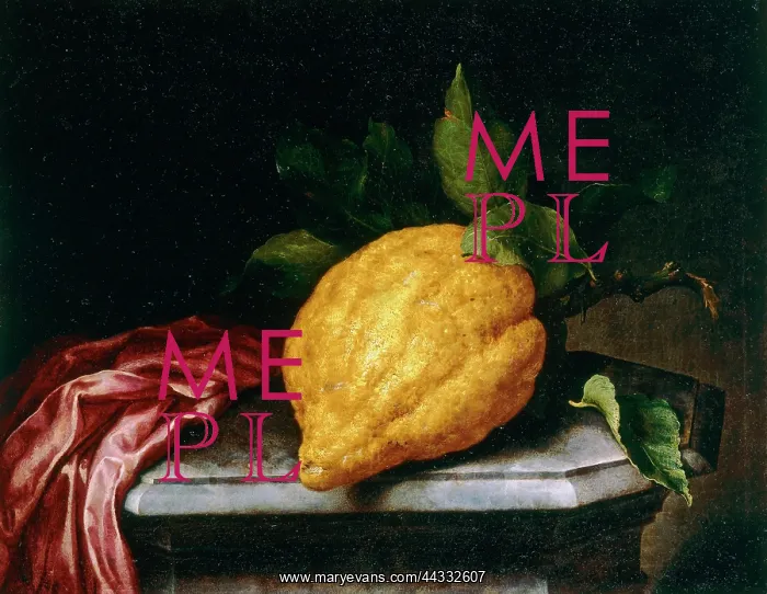 : Citron, by Bartolomeo Bimbi, formerly : Citron, by Bartolomeo Bimbi, formerly
