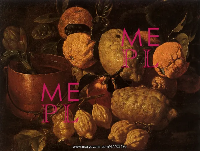  : Citrus Fruit and Copper pail with Articoke