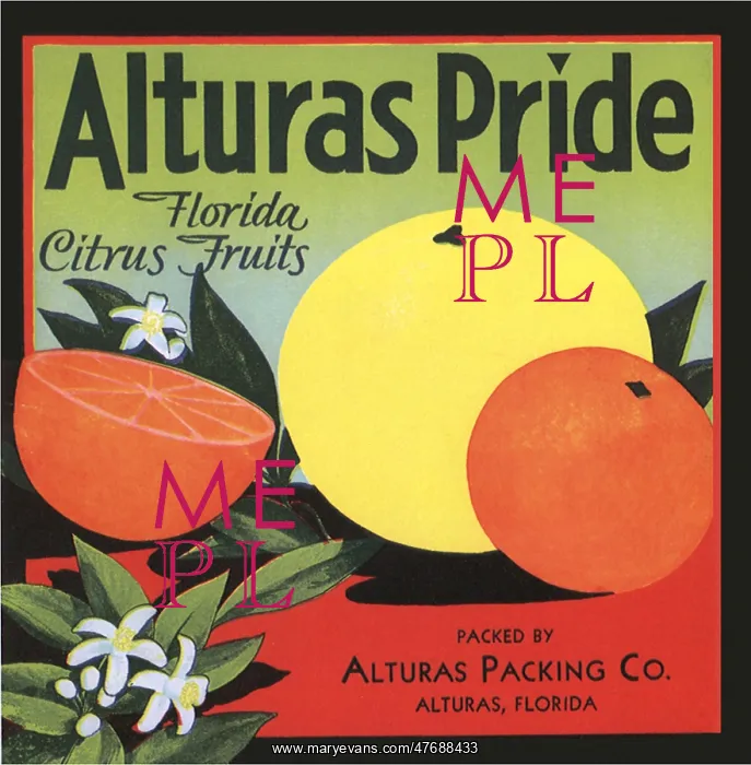  : Citrus Fruit Label