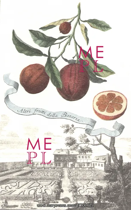  : Citrus Over Garden