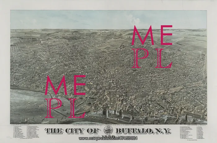 : The city of Buffalo, N.Y. 1880 : The city of Buffalo, N.Y. 1880