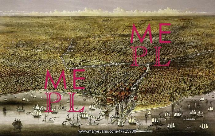  : The City of Chicago 1874