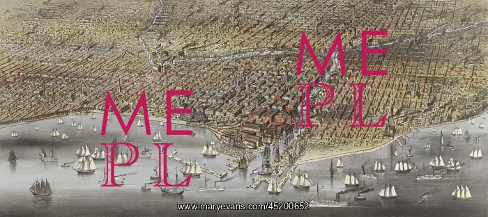 : The City of Chicago in 1874. Three years ? : The City of Chicago in 1874. Three years ?