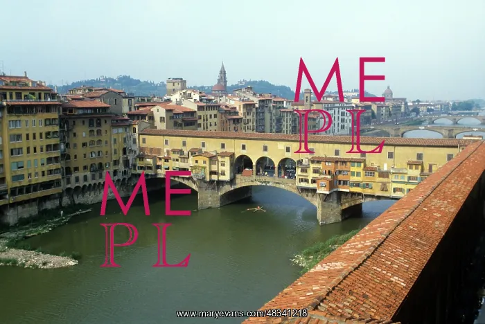 : City of Florence, 1981 : City of Florence, 1981