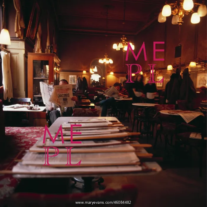 : City life. Inside view of Cafe Sperl. Vienna : City life. Inside view of Cafe Sperl. Vienna