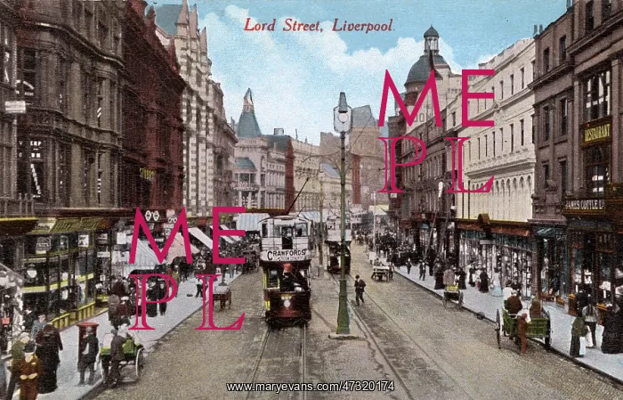 : CITY SHOPPING STREET : CITY SHOPPING STREET