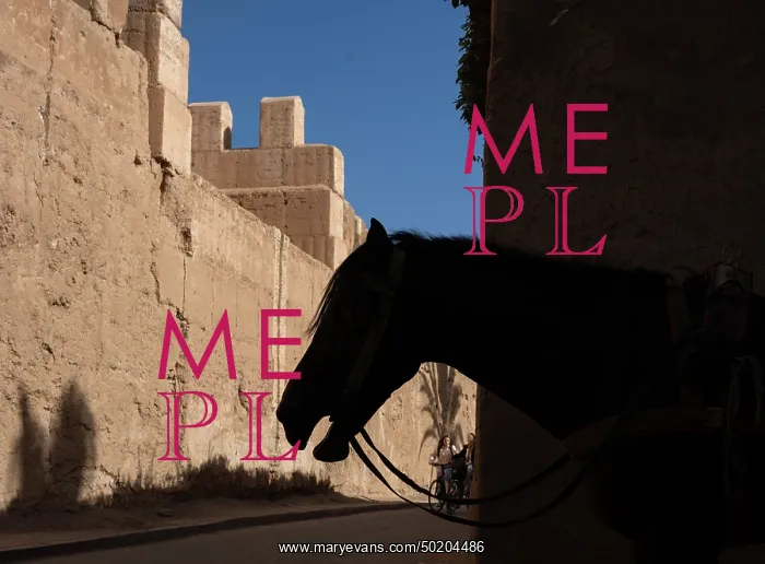 : City walls, Taroudant, Morocco : City walls, Taroudant, Morocco