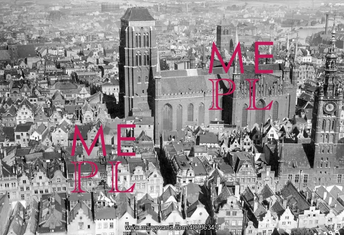 : Cityscape of Danzig : Cityscape of Danzig
