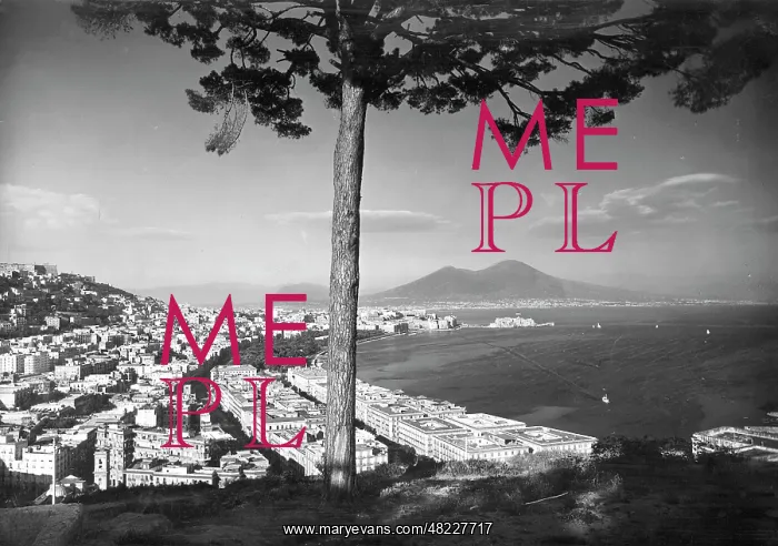 : Cityscape of Naples : Cityscape of Naples