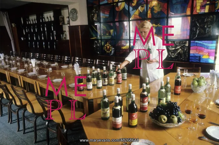 : Ciumai Winery, 1980 : Ciumai Winery, 1980