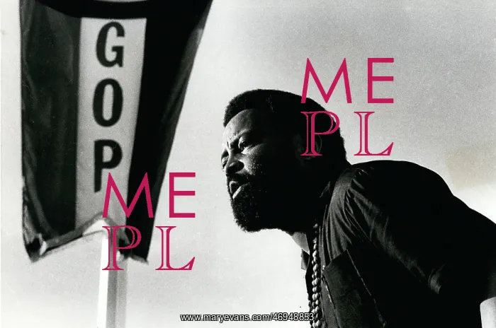 : Civil Rights : Civil Rights