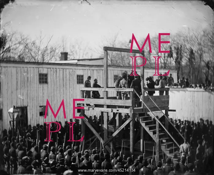 : The Civil War, adjusting the rope for the ? : The Civil War, adjusting the rope for the ?