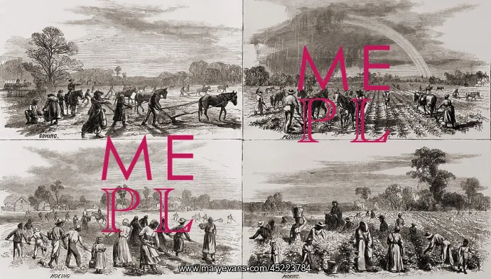 : After the Civil War many African Americans ? : After the Civil War many African Americans ?