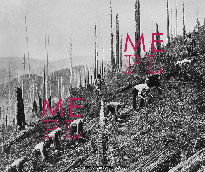 : Civilian Conservation Corps (CCC) at work, ca : Civilian Conservation Corps (CCC) at work, ca