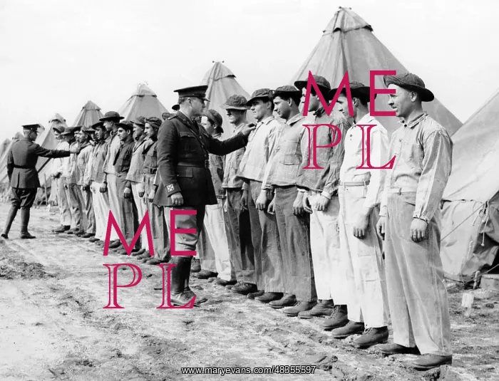 : Civilian Conservation Corps: Roosevelt Forest : Civilian Conservation Corps: Roosevelt Forest