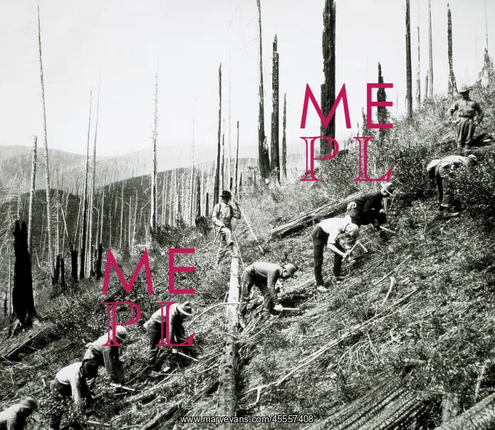 : Civilian Conservation Corps Workers : Civilian Conservation Corps Workers
