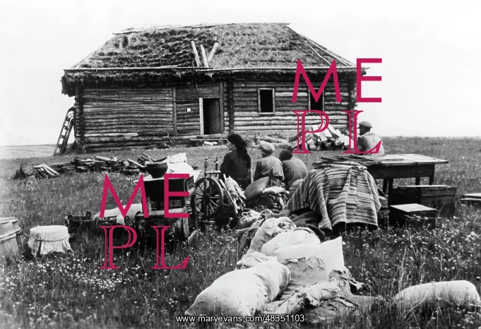 : Civilians on the Eastern Front, 1942 : Civilians on the Eastern Front, 1942