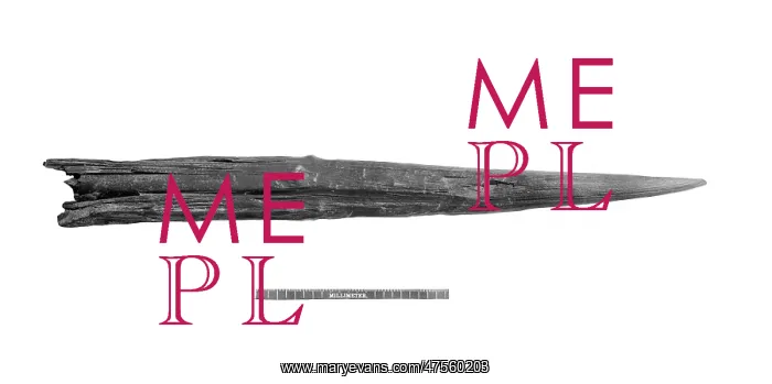 : The Clacton Spear : The Clacton Spear