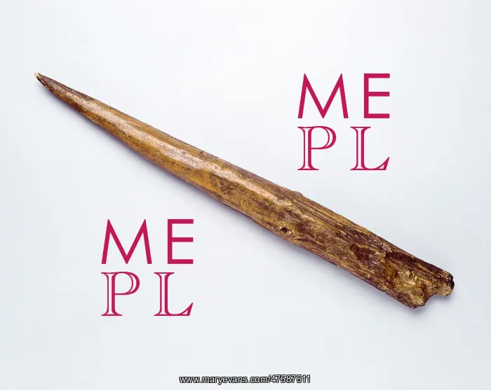 : The Clacton Spear : The Clacton Spear